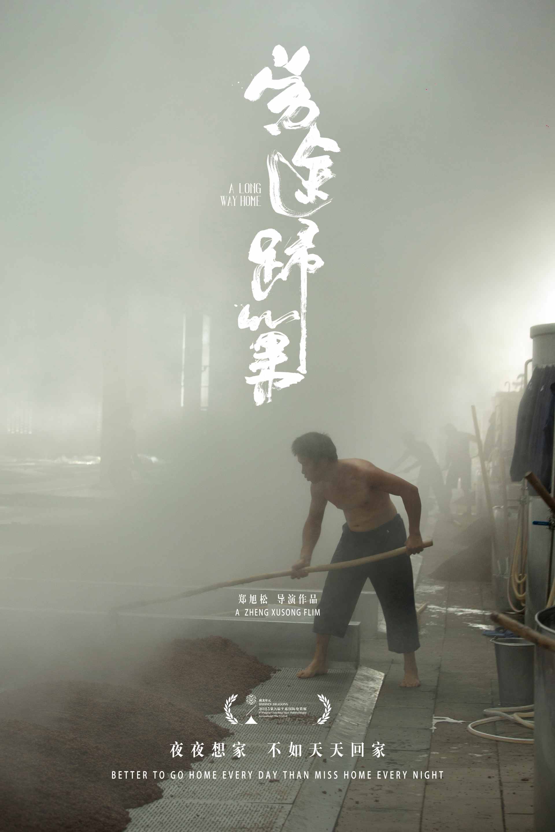 A LONG WAY HOME poster